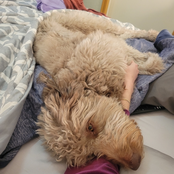 Meet your Posher, Jill - Picture 6 of 13